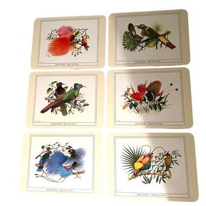 Jason Productions Ltd. New Zealand Birds of Paradise Placemats Cork Backed